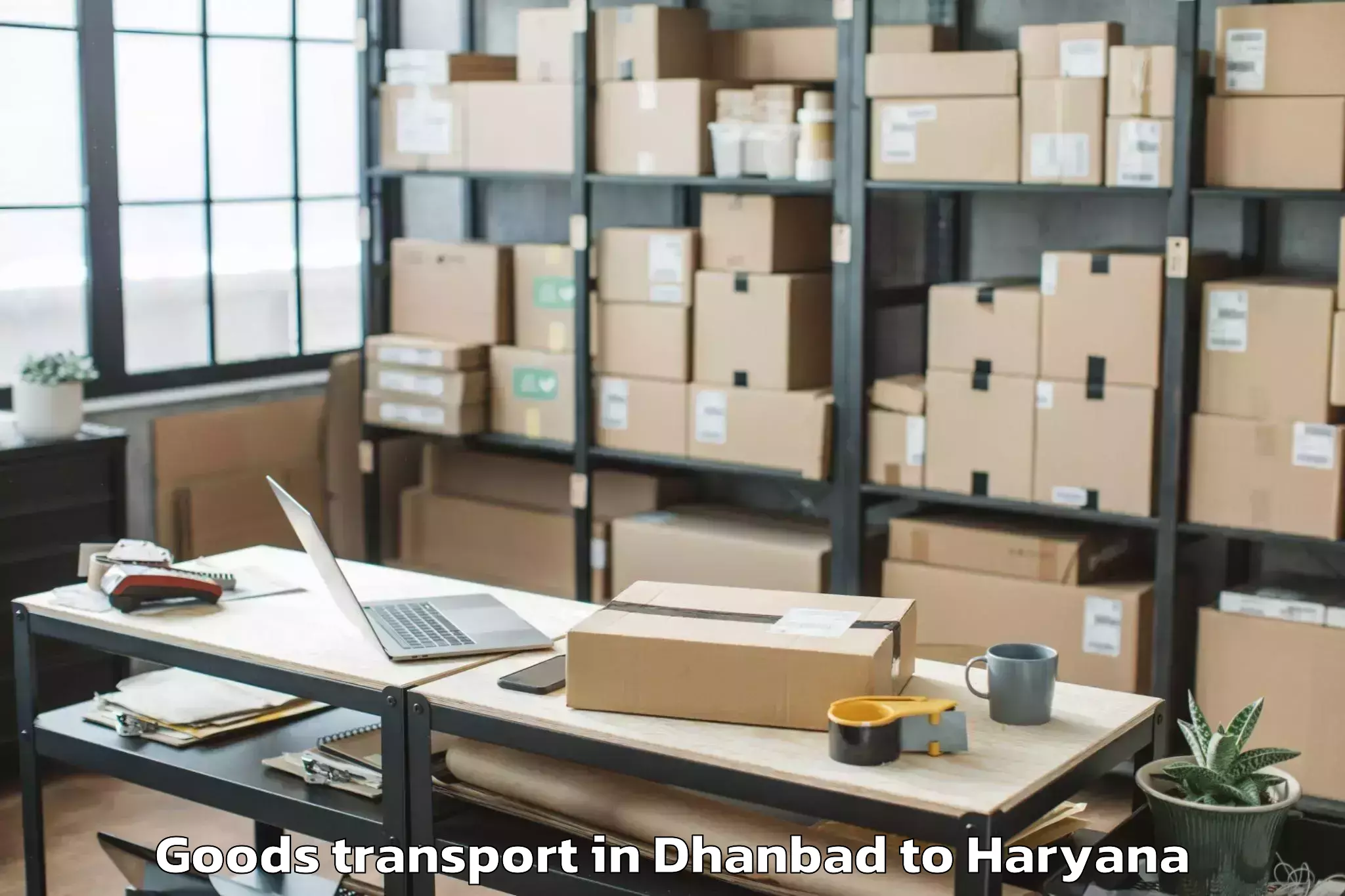 Trusted Dhanbad to Kessel Mall Kurukshetra Goods Transport